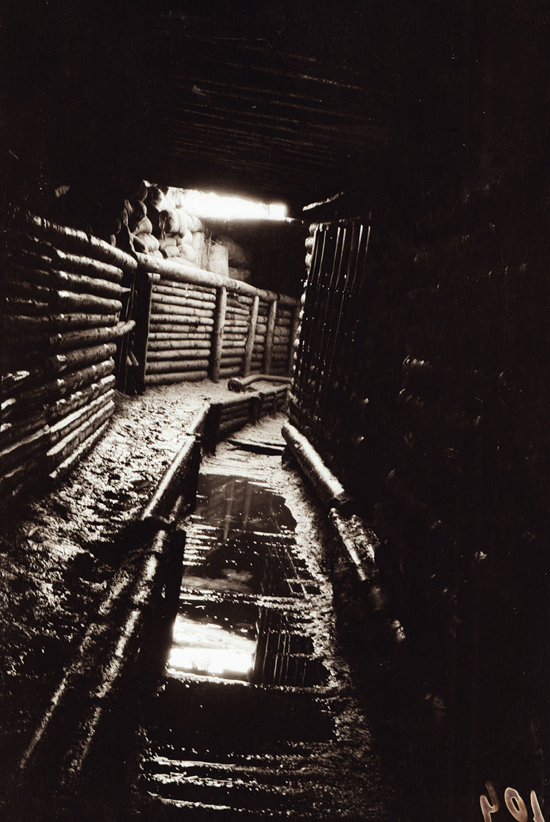 Illustration for article titled Mil fotos perdidas de la Guerra Mundial reaparecen gracias a Internet